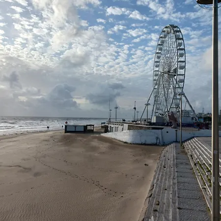 Vue Imprenable Sur La