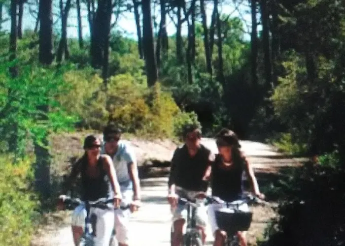 Vue Imprenable Sur La Lejlighed