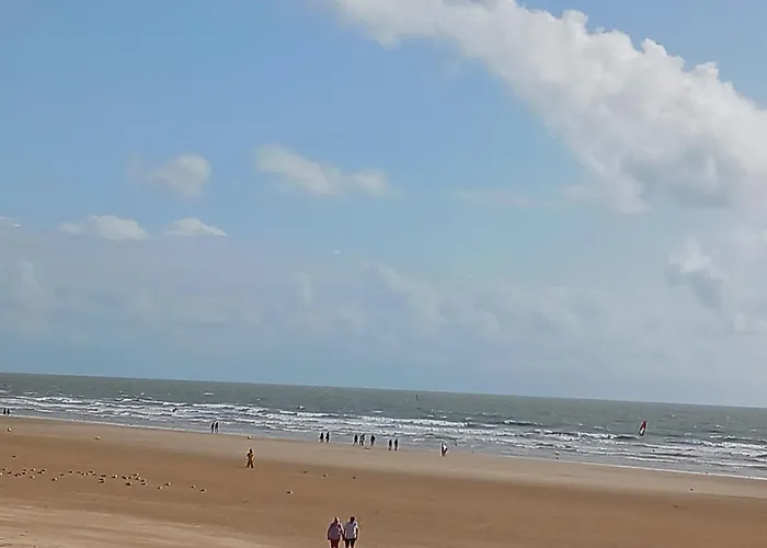 Vue Imprenable Sur La *